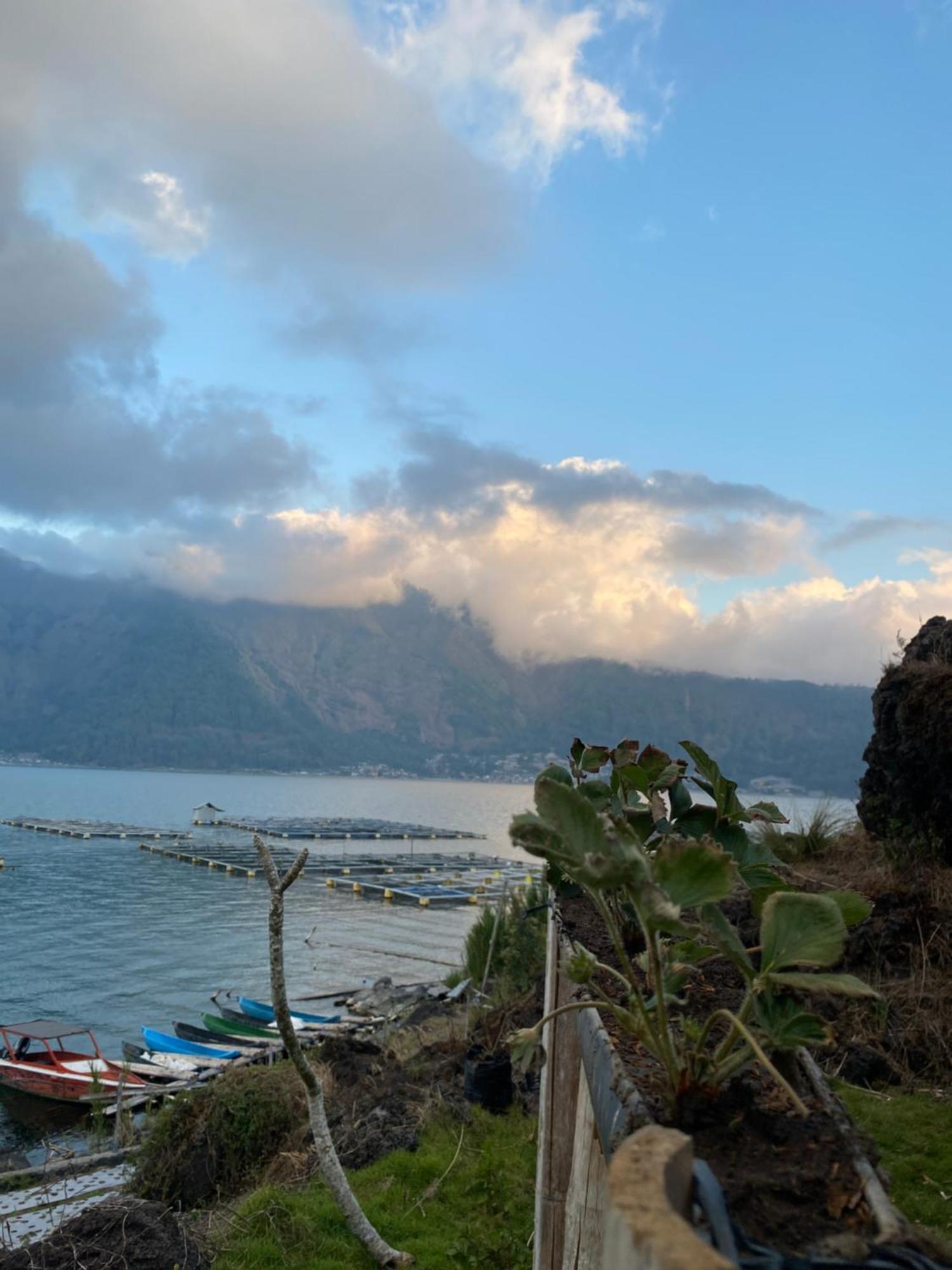 ホテル D' Tepi Danau Glamping Kintamani エクステリア 写真