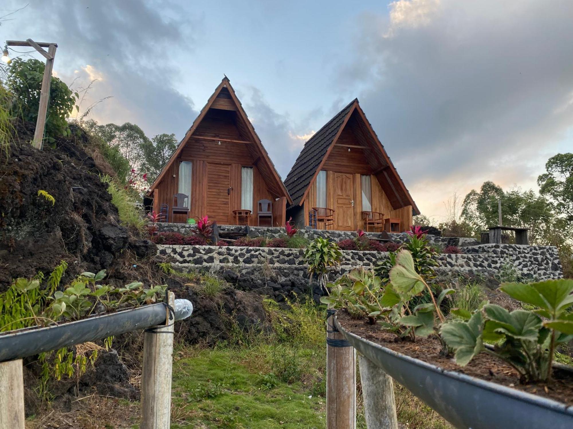 ホテル D' Tepi Danau Glamping Kintamani エクステリア 写真